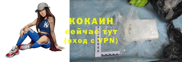 хмурый Алзамай