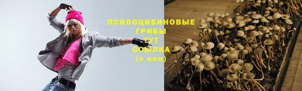 хмурый Алзамай