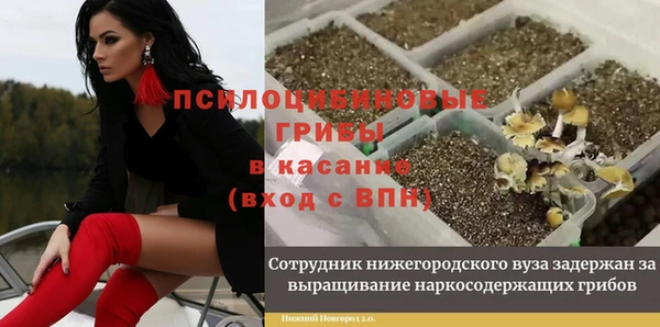 кокс Алексин