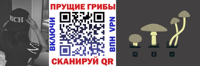 Галлюциногенные грибы MAGIC MUSHROOMS  кракен как зайти  Приморск 